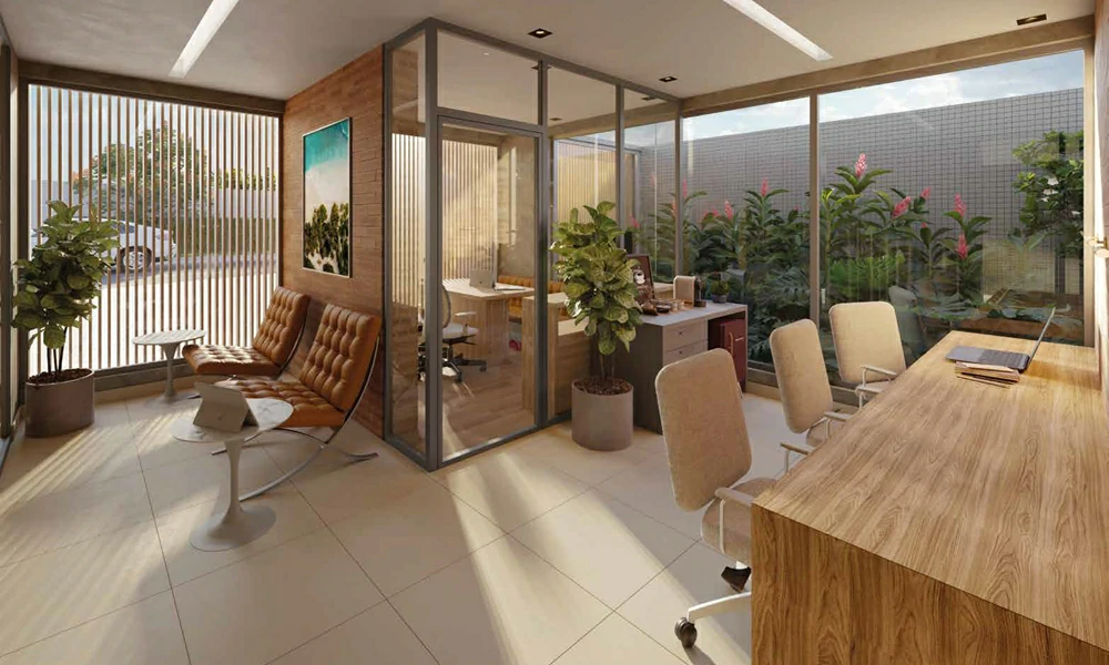 Collection Barra Salvador BA (1)