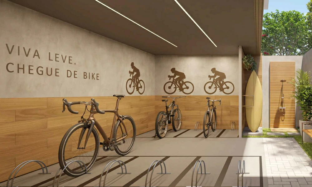 Collection Barra Salvador BA (1)