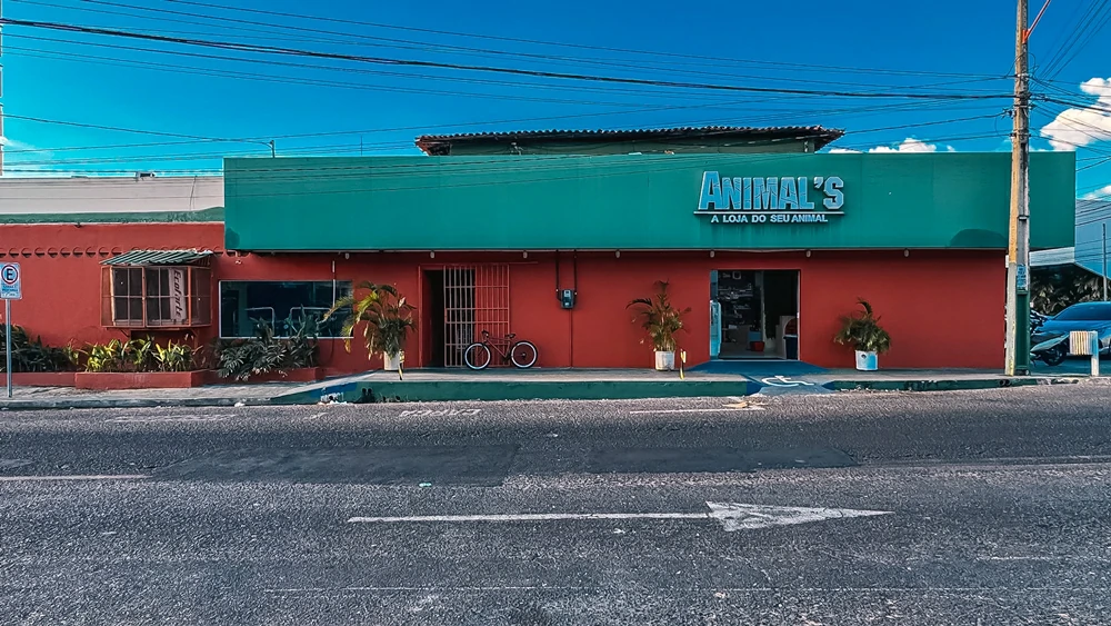 Animals